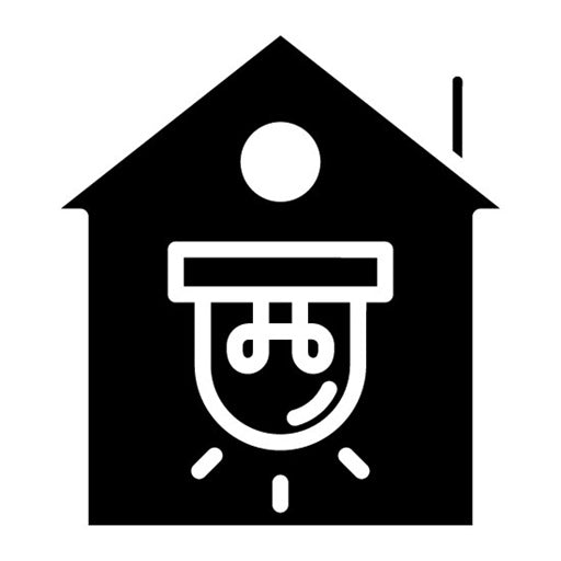 Burglar alarm Glyph Icon