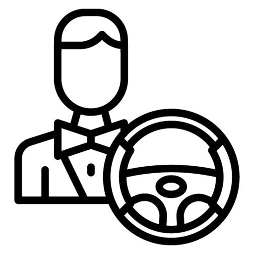 Driver Behavior Icon