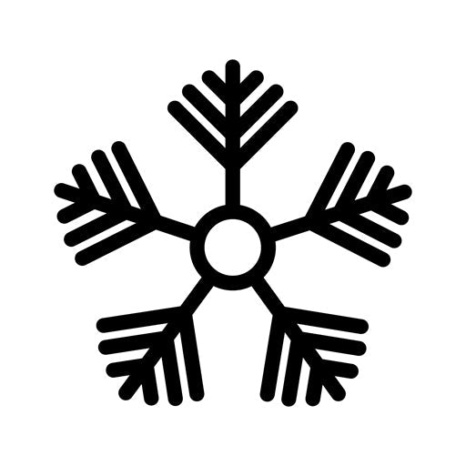 Snowflake Glyph Icon