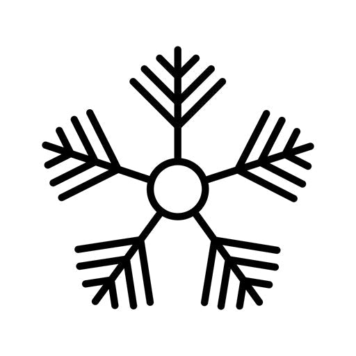 Snowflake Icon