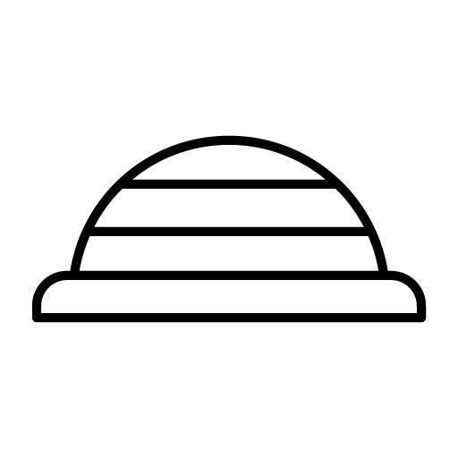 Bosu Ball Icon