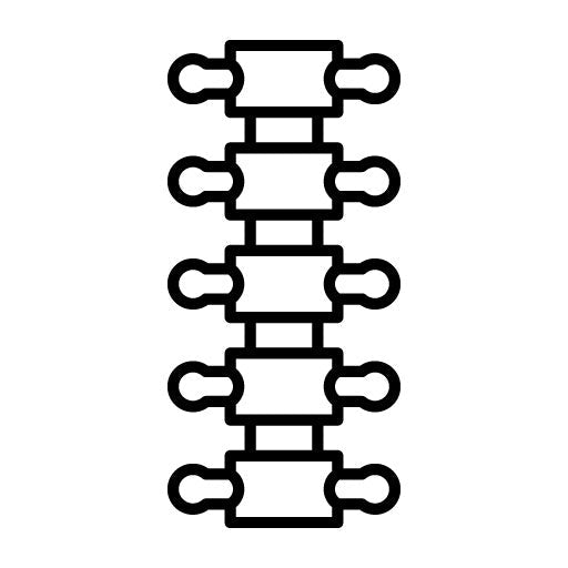 Dorsal Spine Icon