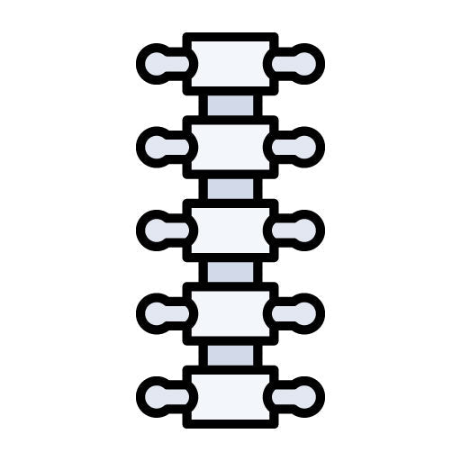 Dorsal Spine Filled Icon