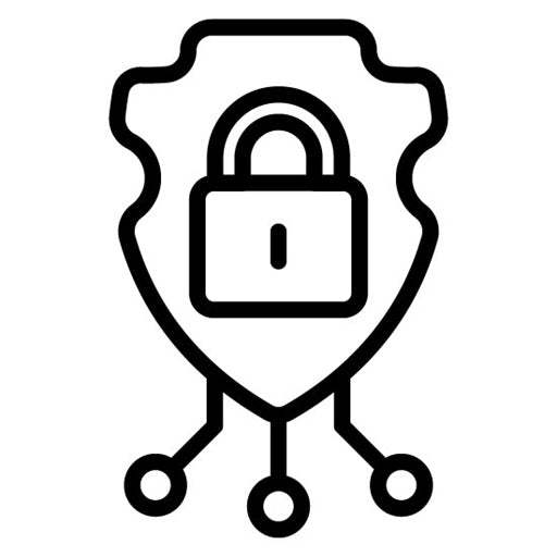 Cyber defense Icon