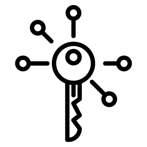 Cyber key Icon
