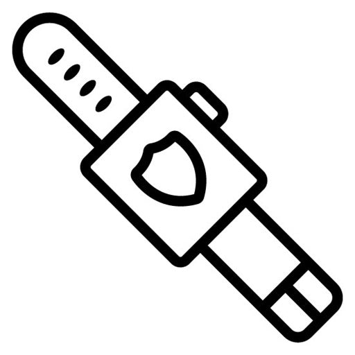 Cyber watch Icon