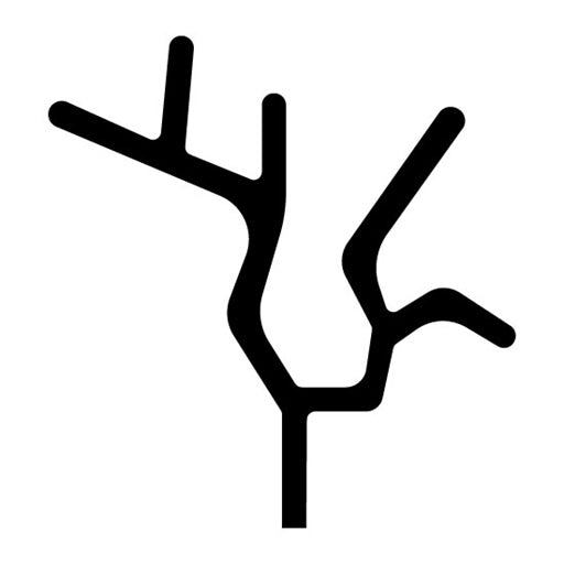 Coral Reefs Glyph Icon
