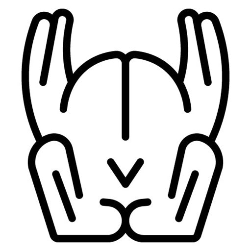 Turkey Icon