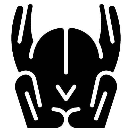 Turkey Glyph Icon