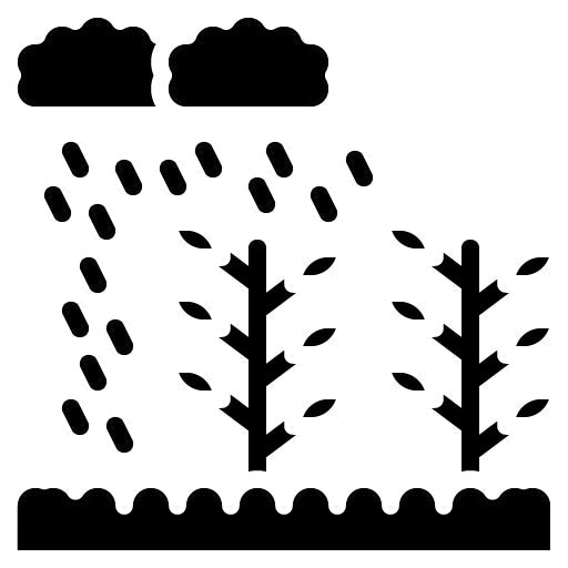 Monsoon Agriculture Glyph Icon