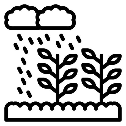 Monsoon Agriculture Icon