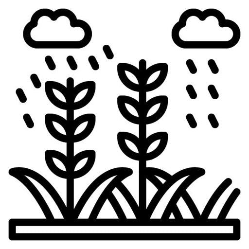 Monsoon Crops Icon