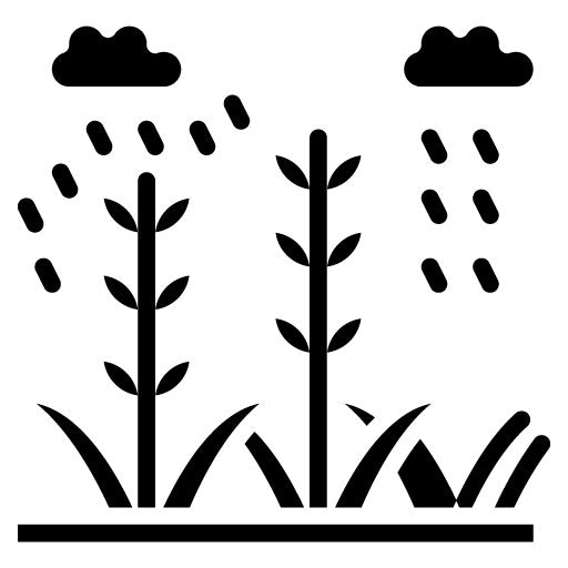 Monsoon Crops Glyph Icon