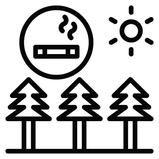 Smoke Free Environment Icon