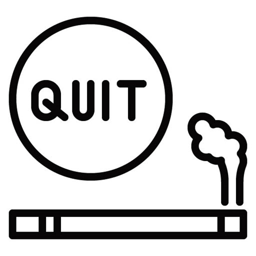 Smoking Cessation Program Icon