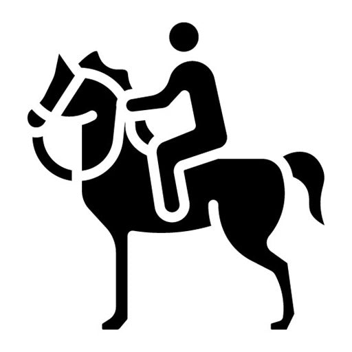 Horseback Riding Glyph Icon
