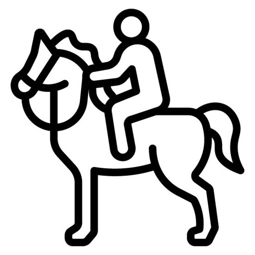 Horseback Riding Icon