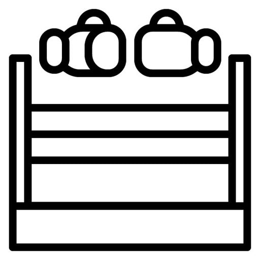 Boxing Bout Icon