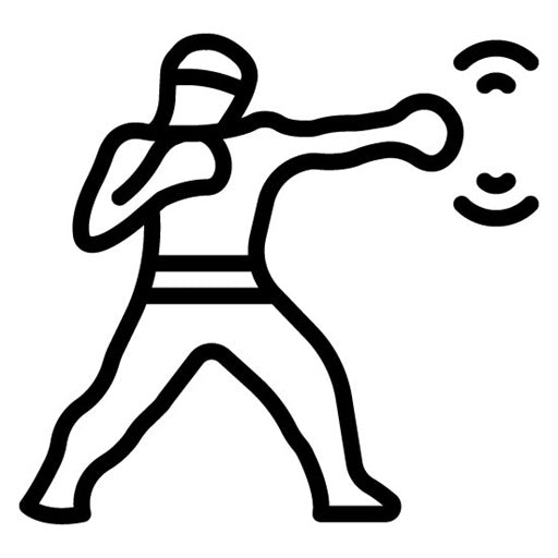 Boxing Combination Icon