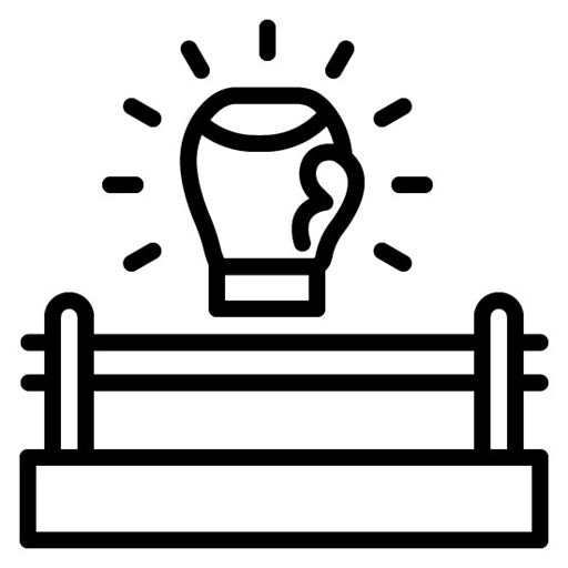 Boxing Fan Icon