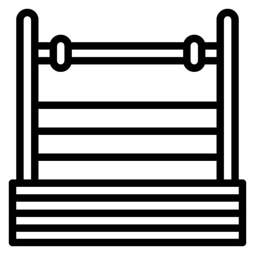 Boxing Ring Icon