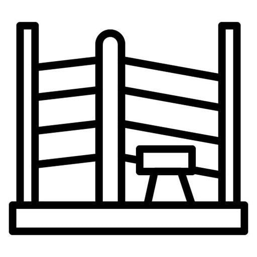 Boxing Ring Corner Icon