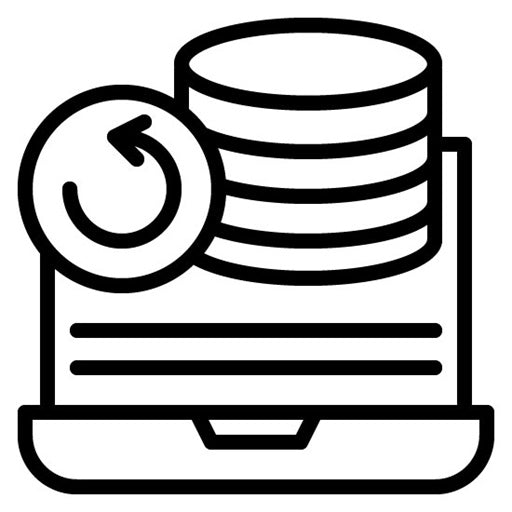 Data Recovery Icon