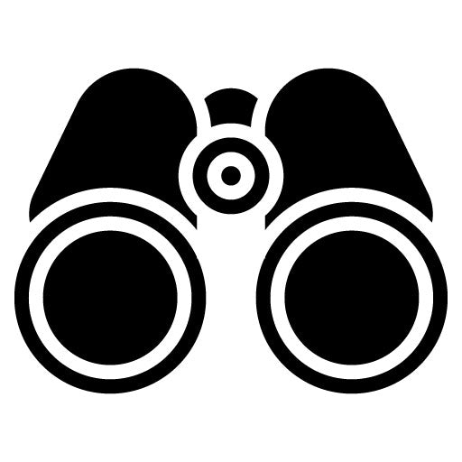 Binoculars Glyph Icon | Private Detective