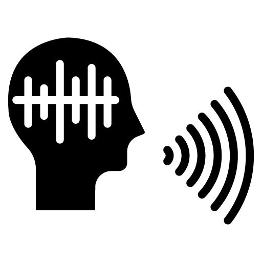 Voice Biometrics Glyph Icon