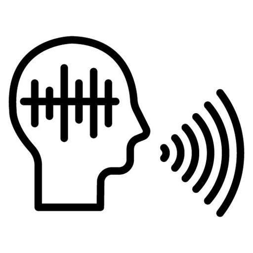 Voice Biometrics Icon
