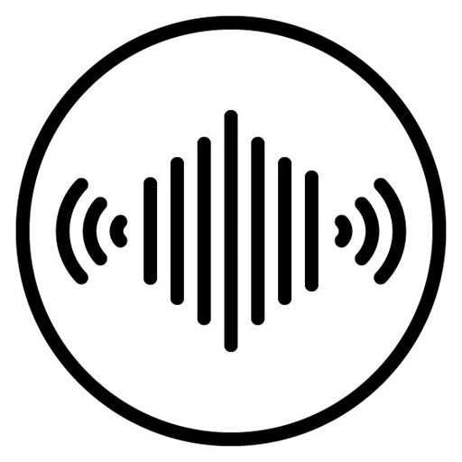 Voice Icon Icon
