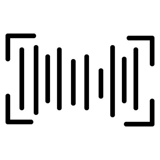 Voiceprint Icon
