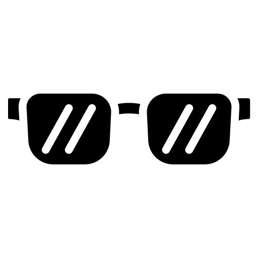 Sunglasses Glyph Icon | Travel Packaging