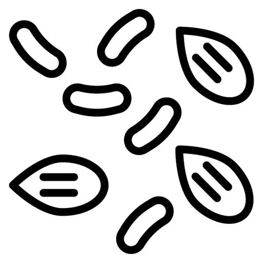 Toppings Icon