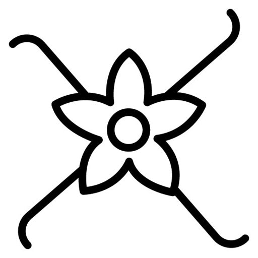 Vanilla Icon