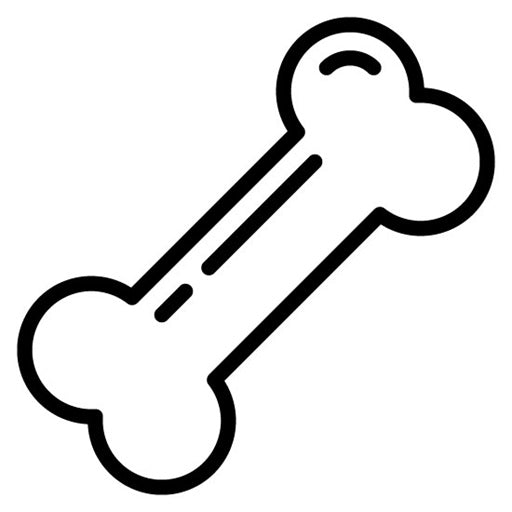 Bone Icon | Orthopedics
