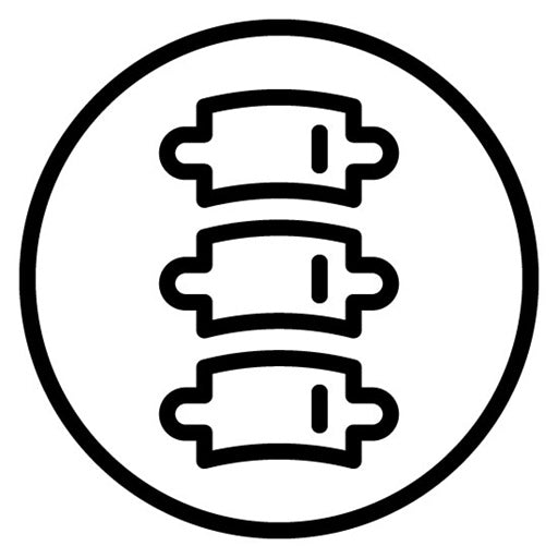 Spine Icon