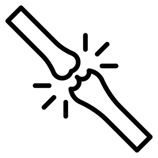Ligament Icon