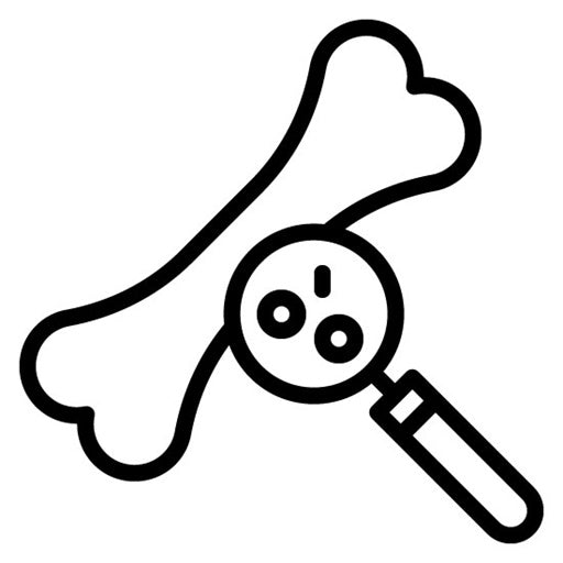 Bone Density Test Icon