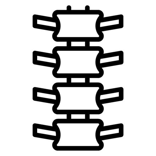 Vertebrae Icon | Orthopedics