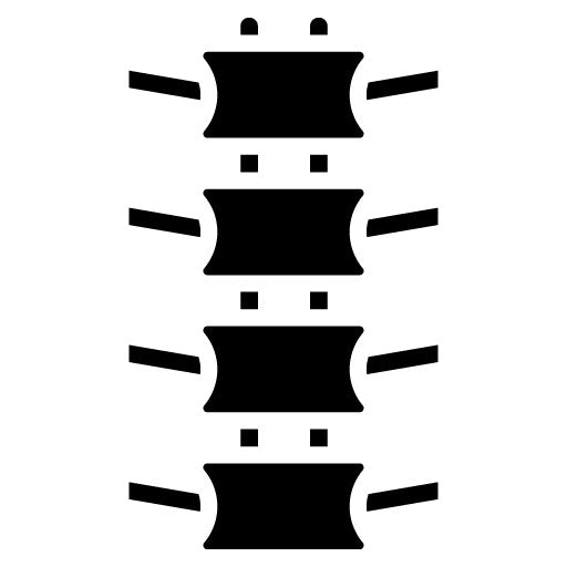 Vertebrae Glyph Icon | Orthopedics