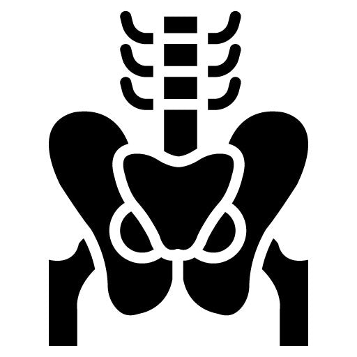 Pelvis Glyph Icon | Orthopedics