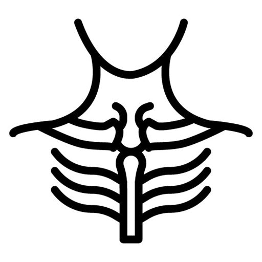 Collarbone Icon