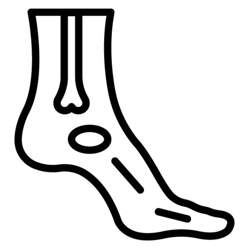 Foot and Ankle Icon