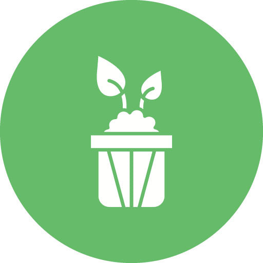 Plant Glyph Circle Icon