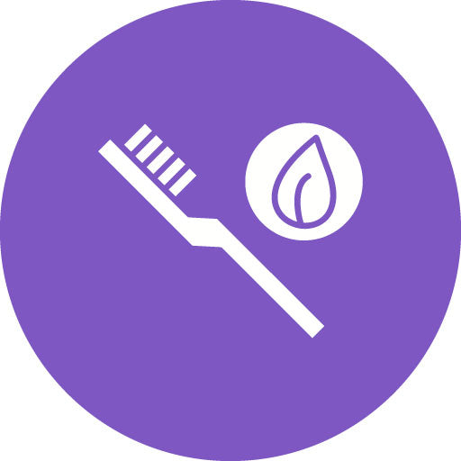 Eco Brush Glyph Circle Icon