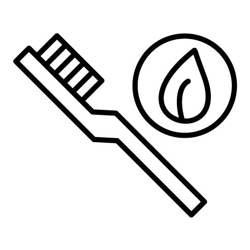 Eco Brush Icon