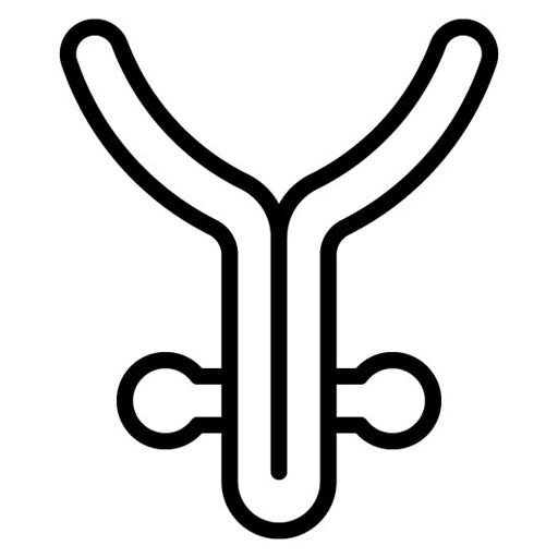 Antibody Icon