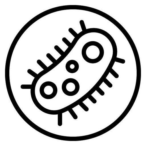 Bacteria Icon