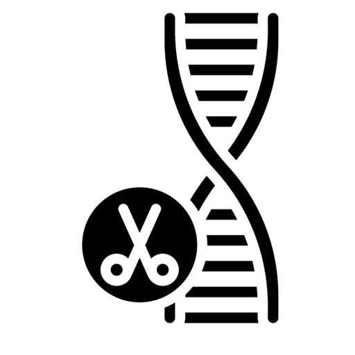 Genome Editing Glyph Icon